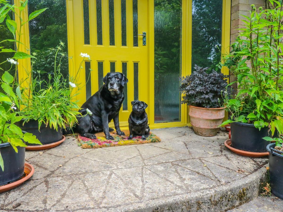 Little Yaffle Villa Dover Buitenkant foto